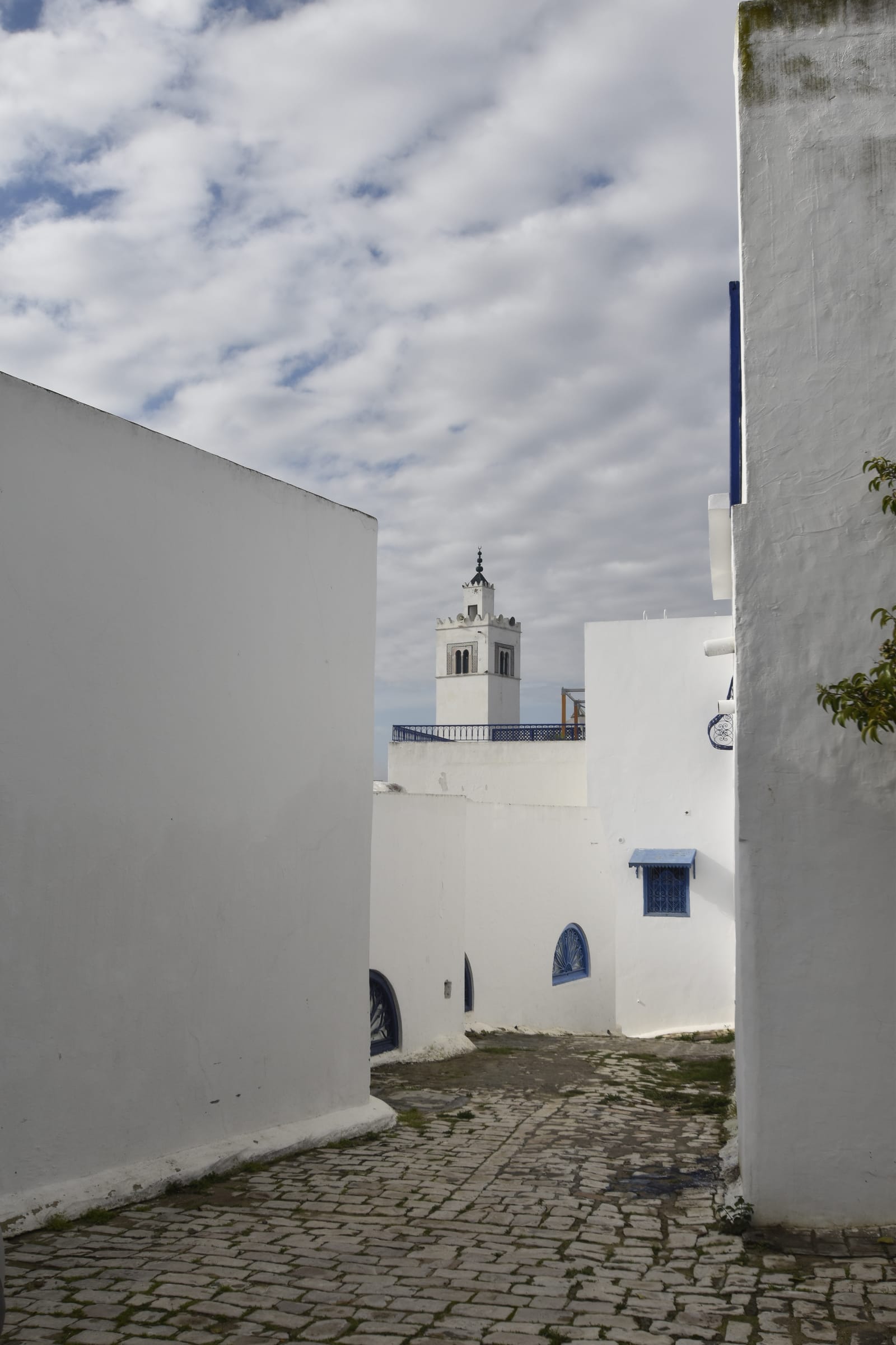The white minaret of the Sidi Bou Said mosque above blue-shuttered houses