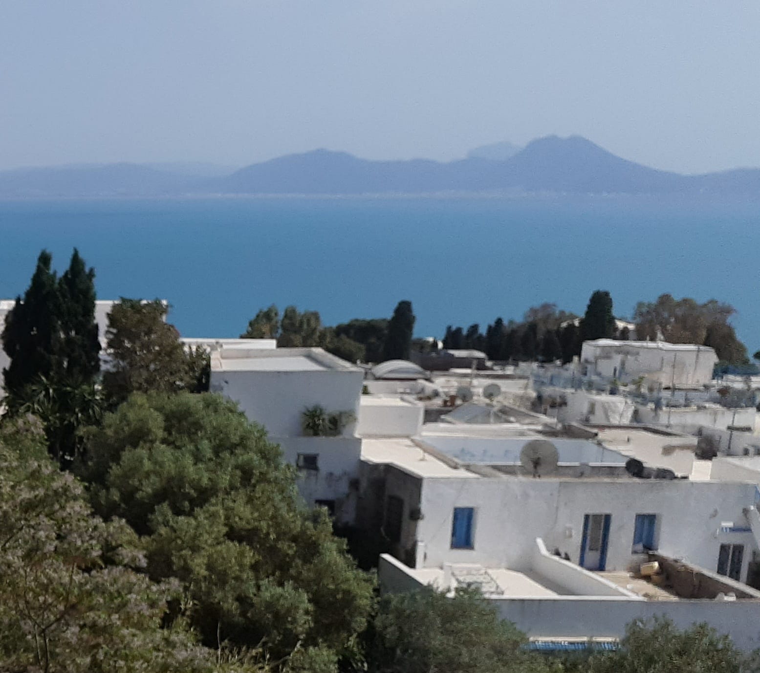 Clear blue sky over the white houses of Sidi Bou Said