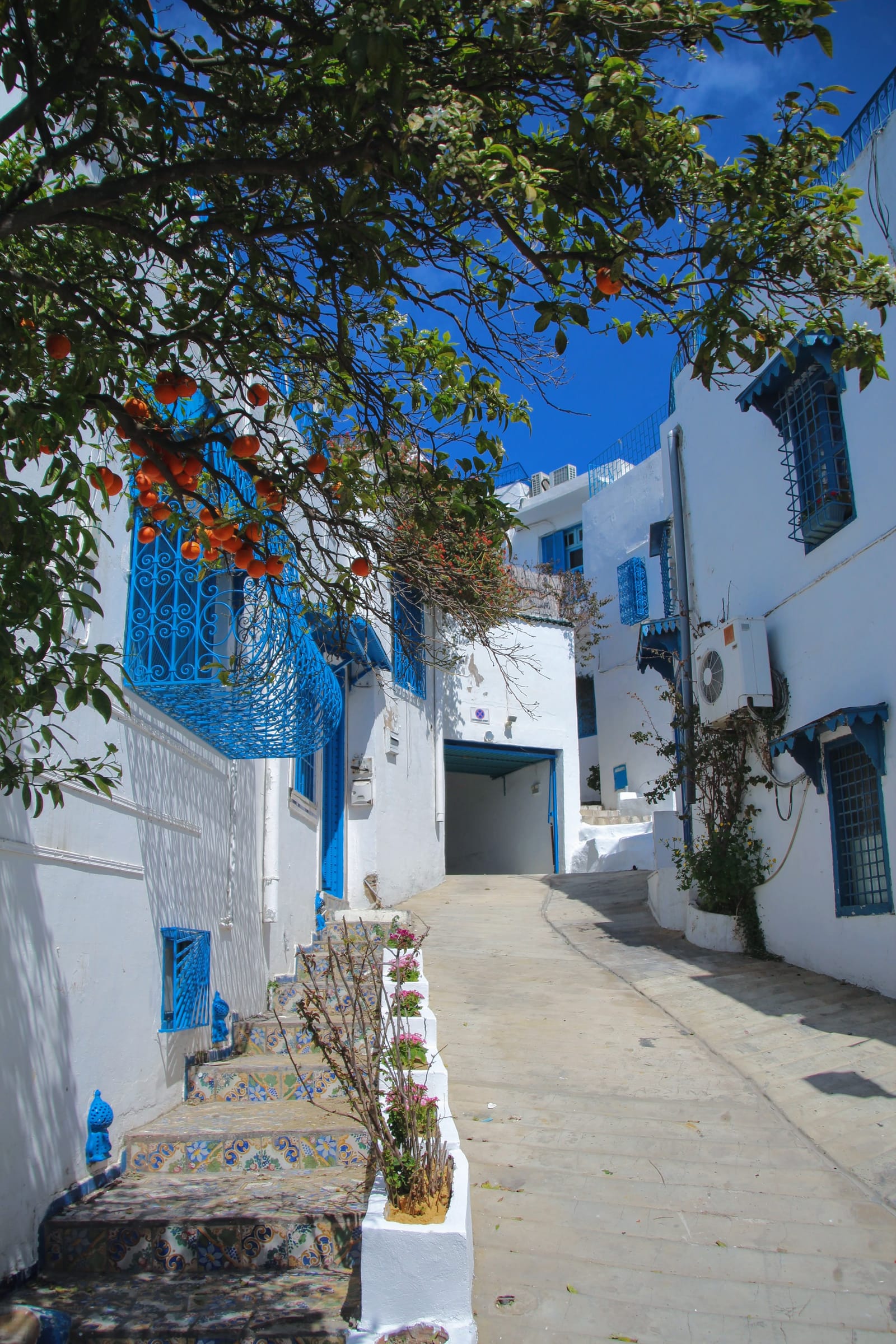 Narrow whitewashed alley in Sidi Bou Said with blue window grilles